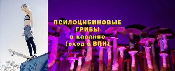 сатива Богданович