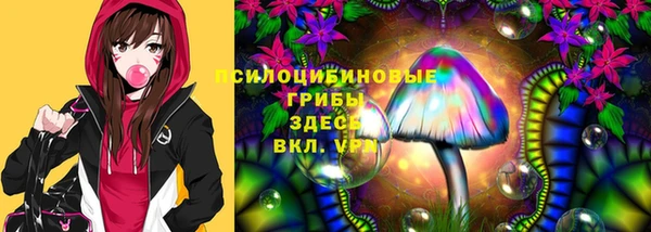 СК Богородицк