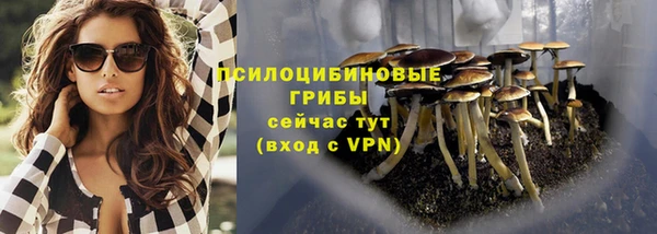 сатива Богданович