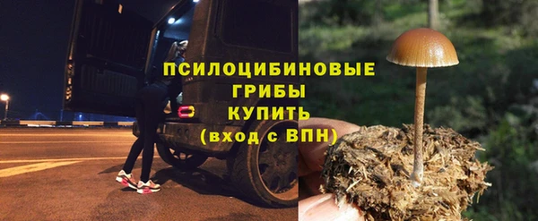 COCAINE Богородск
