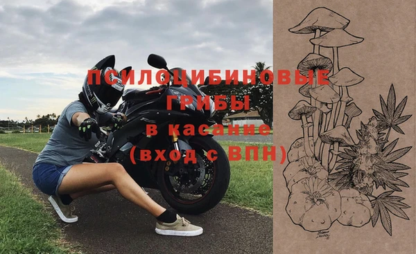 COCAINE Богородск
